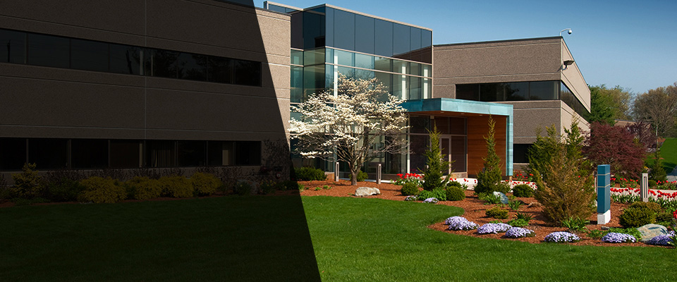 Frankford Landscapers