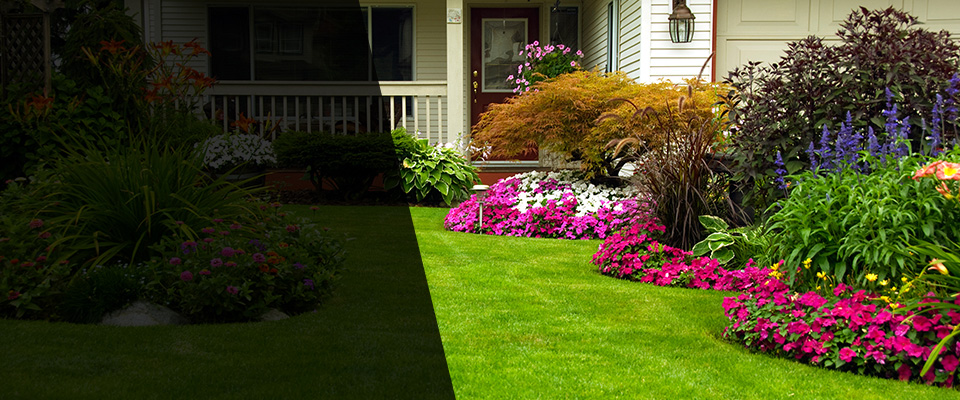 Frankford Landscapers
