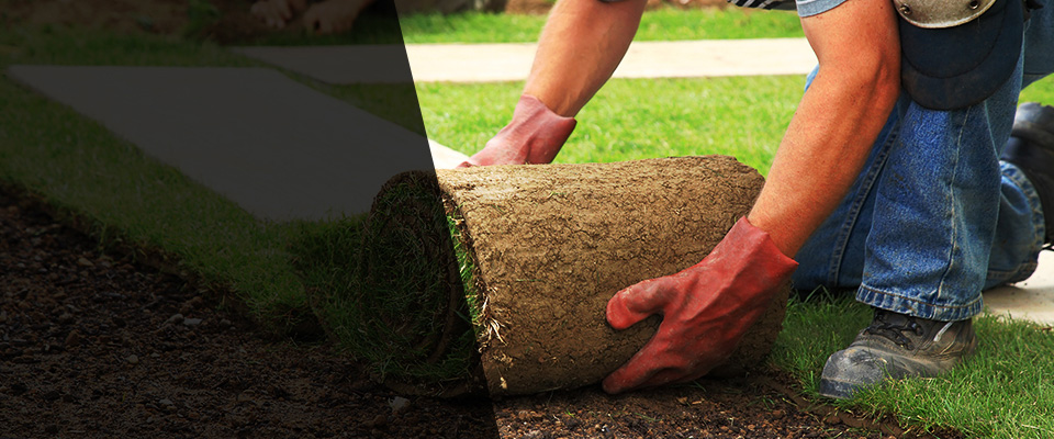 Frankford Landscapers